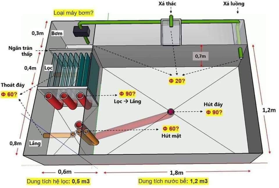 Hệ thống lọc cơ bản của một Hồ cá Koi